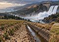 California Water