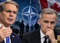 NATO