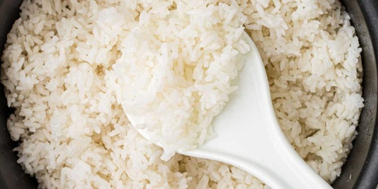 Rice