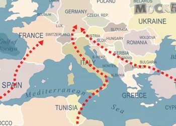 Migration